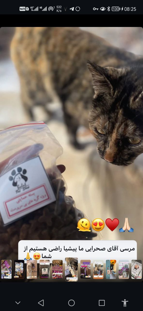 تصویر مشتری